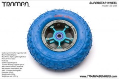 Carbon print rim with Blue Anodised Spokes Blue Alpha tyre and Blue Bearings