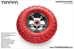 Carbon Rim with Silver Anodised spokes and Red Alpha Tyre