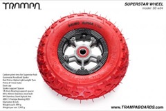 Carbon Rim with Gunmetal Anodised spokes and Red Alpha tyre