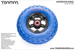 Matt Black Rim with Black Anodised spokes and Blue Alpha tyre