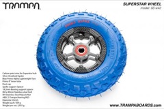 Carbon Print Rim with Silver Anodised spokes and Blue Alpha Tyre